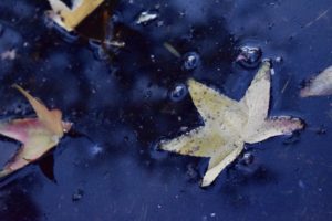 Week #7 – MELANCHOLY
