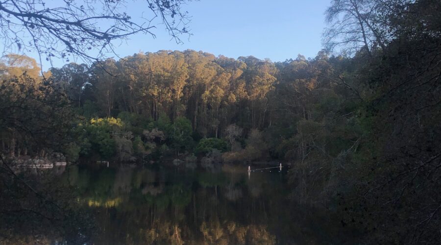 Week #36 – REFLECTION